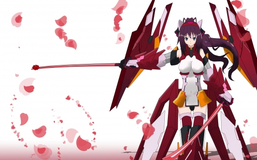 Infinite Stratos